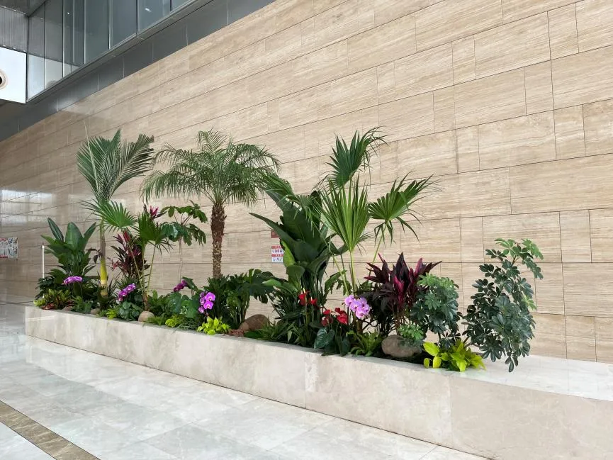 找专业绿植出租，宁波北仑的绿化难题轻松解决！